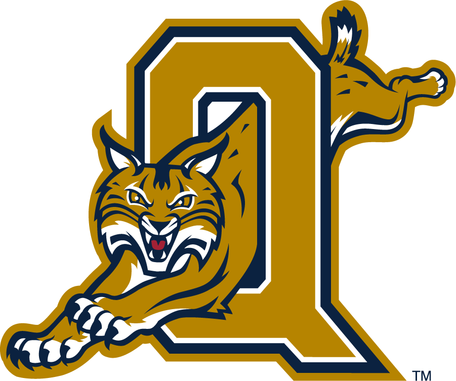 Quinnipiac Bobcats 2002-2017 Secondary Logo v2 diy DTF decal sticker